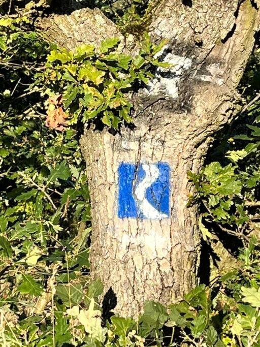 Rheinauszeit Apartman Rheinbrohl Kültér fotó